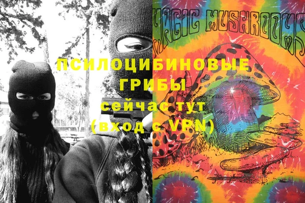 тгк Новодвинск