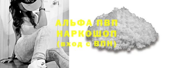 сатива Новокубанск