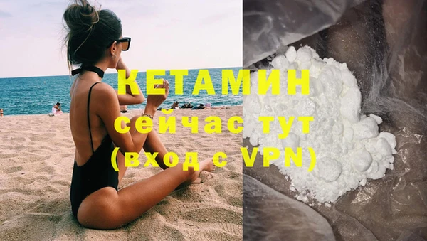 тгк Новодвинск