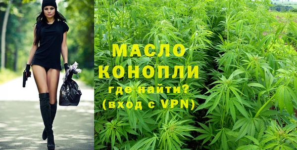 хмурый Бикин