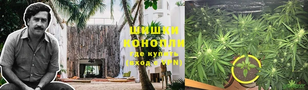 тгк Новодвинск