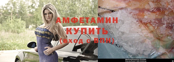 сатива Новокубанск