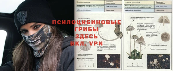 тгк Новодвинск