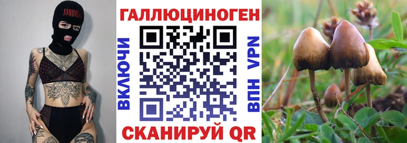 даркнет клад Хилок Псилоцибиновые грибы GOLDEN TEACHER закладка